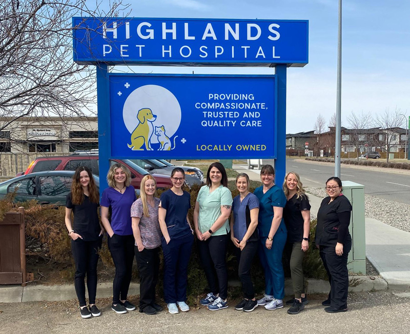 Highlands Pet Hospital | Lethbridge, Alberta T1J4V3