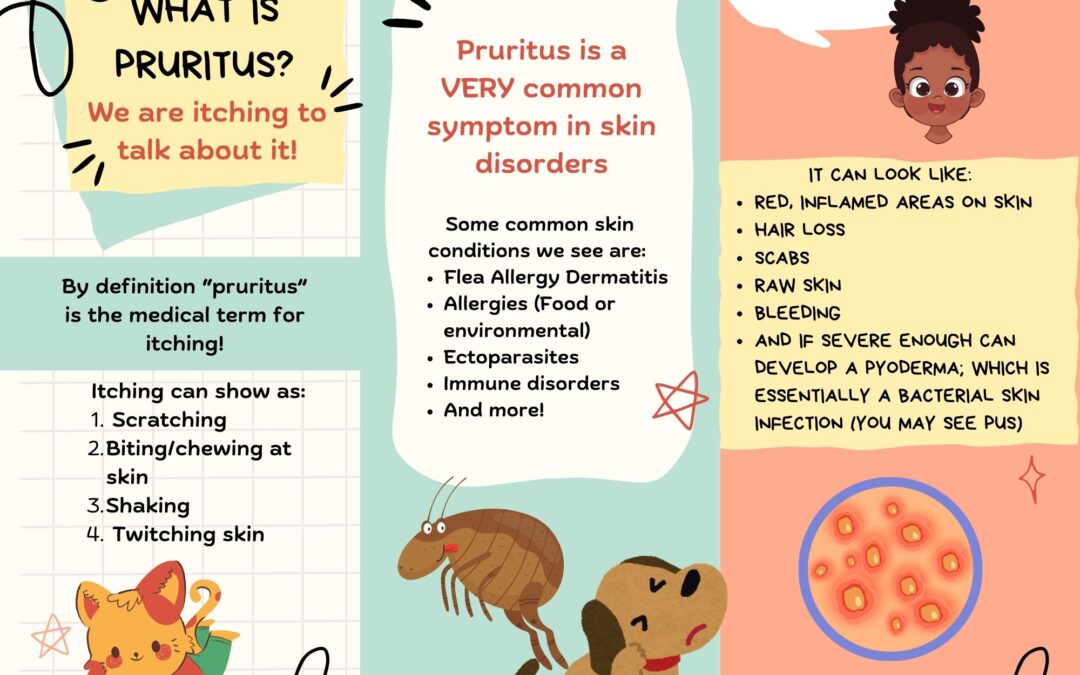 What is Pruritus?