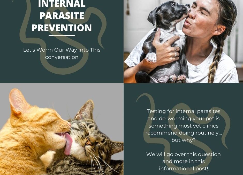 Internal Parasite Prevention