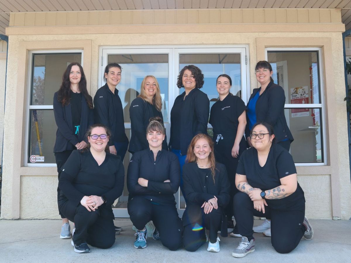 Highlands Pet Hospital Team