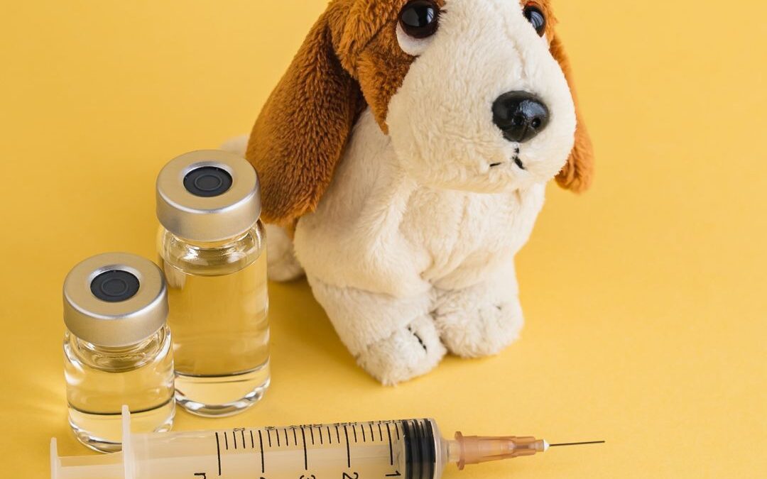 Dog Vaccines: Let’s Give It A Shot